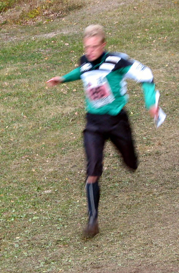 Veckans bild v 41 2002