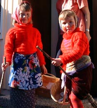 Veckans bild v 17 2003
