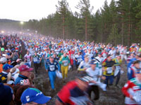 Veckans bild v 30 2004
