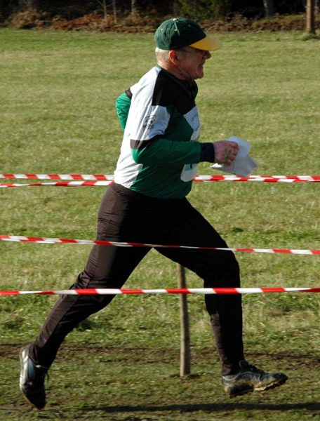 Veckans bild v 46 2004