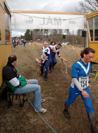 Veckans bild v 15 2005