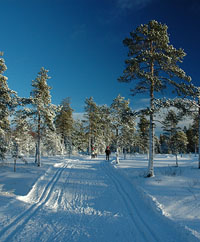 Veckans bild v 01 2006