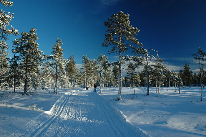 Veckans bild v 01 2006