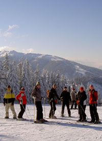Veckans bild v 02 2006