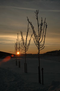 Veckans bild v 03 2006