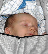 Veckans bild v 04 2006