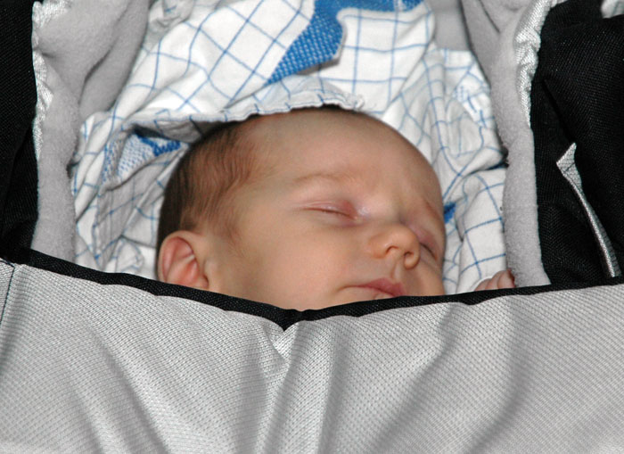 Veckans bild v 04 2006