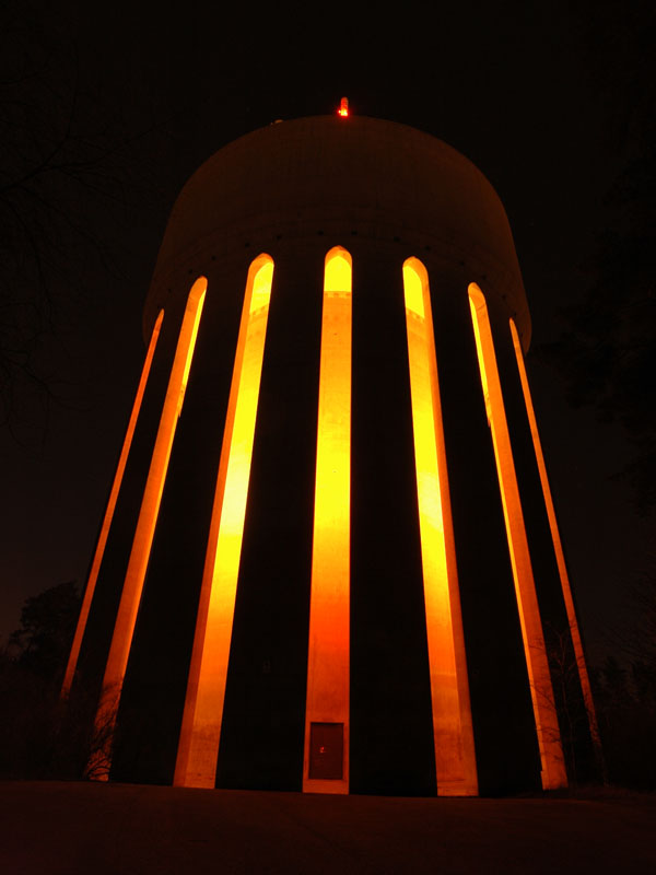 Veckans bild v 04 2007