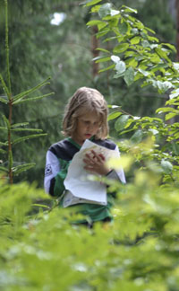 Veckans bild v 33 2007