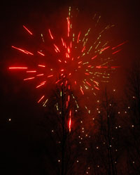 Veckans bild v 01 2008