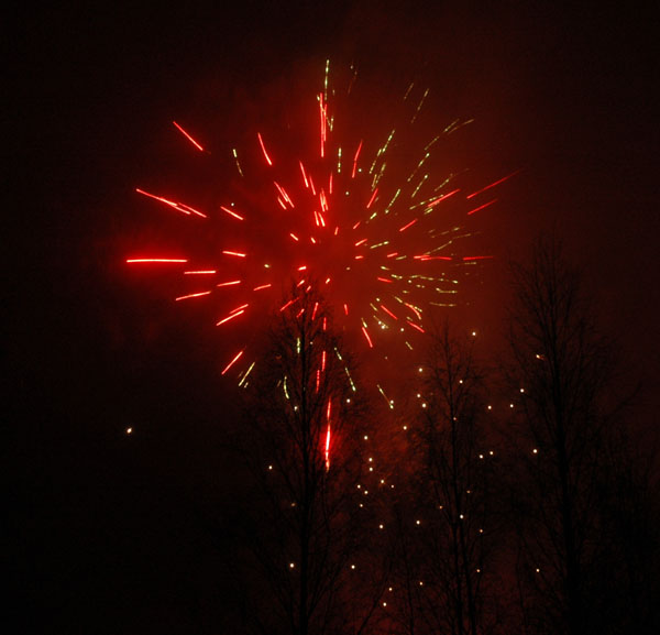 Veckans bild v 01 2008