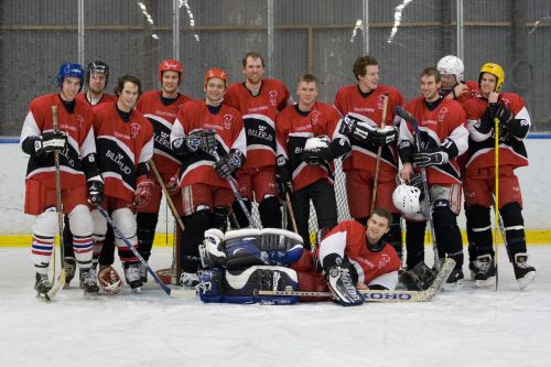 Veckans bild v 04 2008