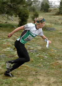 Veckans bild v 19 2008
