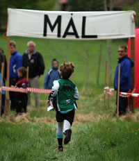 Veckans bild v 22 2008