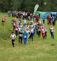 Veckans bild v 33 2008