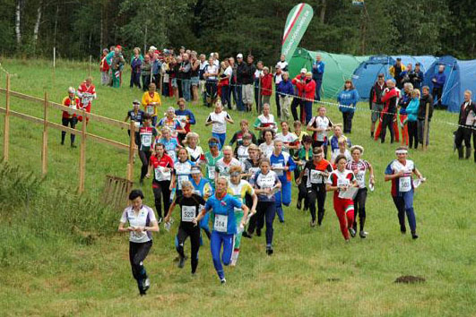 Veckans bild v 33 2008