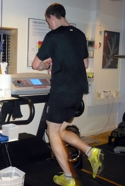 Veckans bild v 04 2009