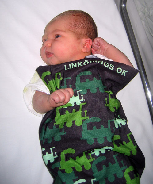 Veckans bild v 28 2009
