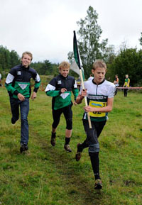 Veckans bild v 37 2009