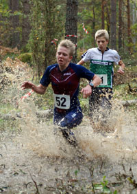Veckans bild v 40 2010