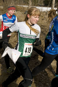 Veckans bild v 13 2011
