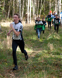 Veckans bild v 39 2011