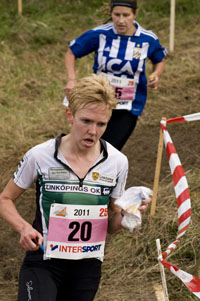 Veckans bild v 41 2011