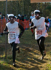 Veckans bild v 43 2011