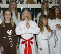 Veckans bild v 50 2011