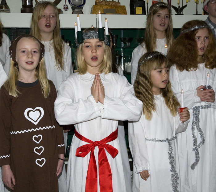 Veckans bild v 50 2011