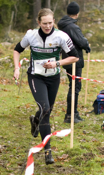 Veckans bild v 46 2012
