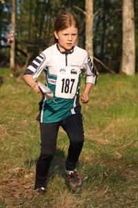 Veckans bild v 30 2013