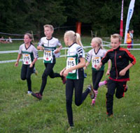 Veckans bild v 33 2013