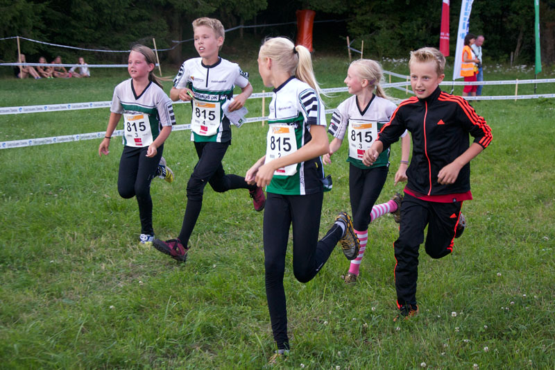 Veckans bild v 33 2013