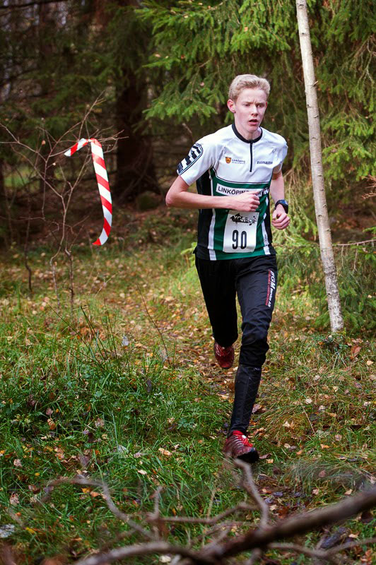 Veckans bild v 43 2013