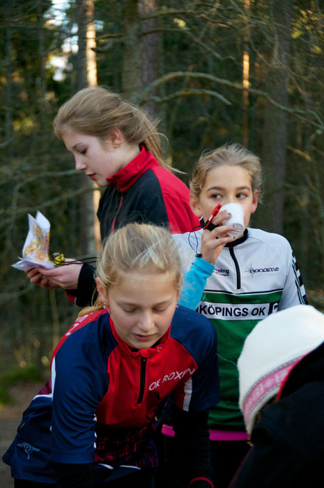 Veckans bild v 48 2013