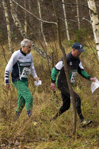 Veckans bild v 50 2013