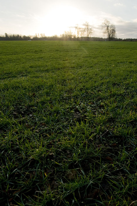 Veckans bild v 01 2014