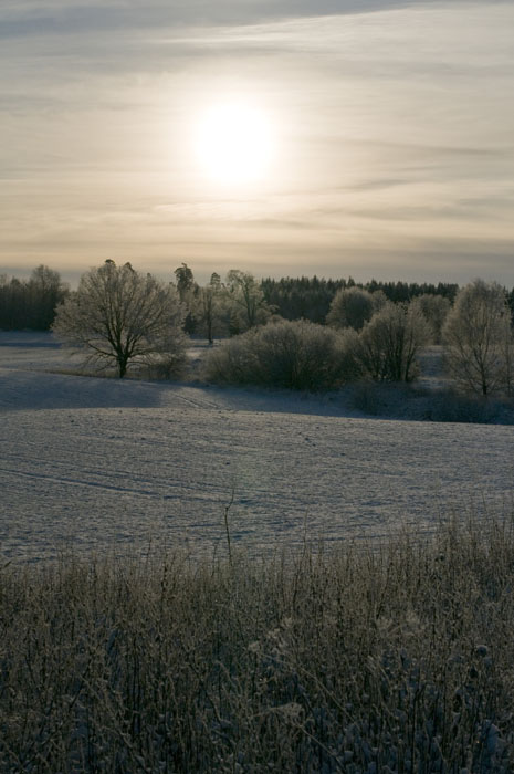 Veckans bild v 01 2015