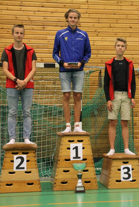 Veckans bild v 33 2017