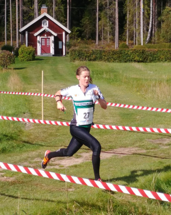 Veckans bild v 38 2017