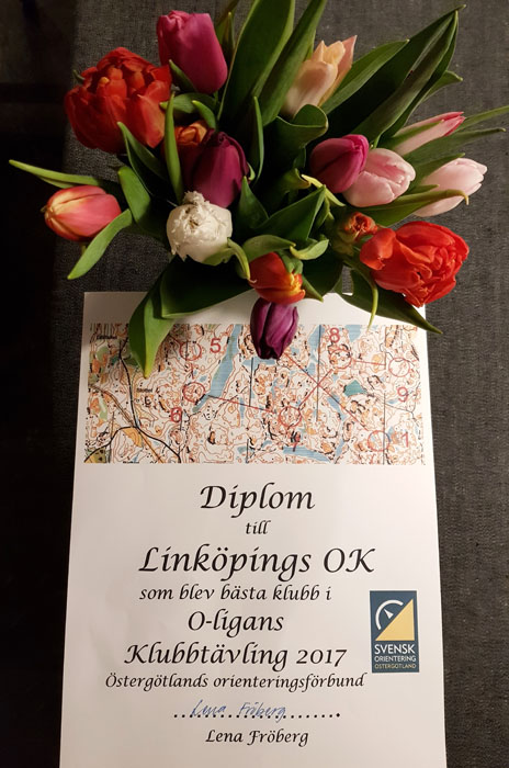 Veckans bild v 11 2018
