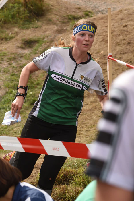 Veckans bild v 34 2018