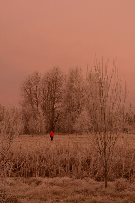 Veckans bild v 02 2019