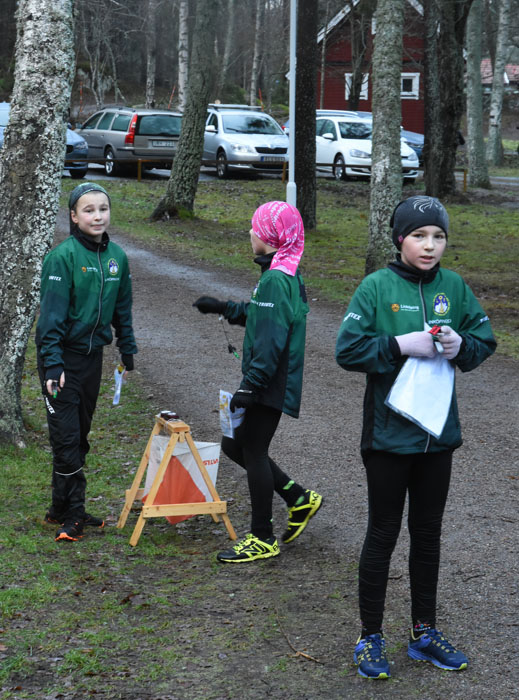 Veckans bild v 08 2019
