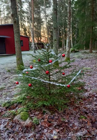 Veckans bild v 52 2020
