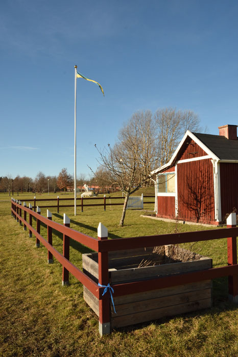 Veckans bild v 09 2021