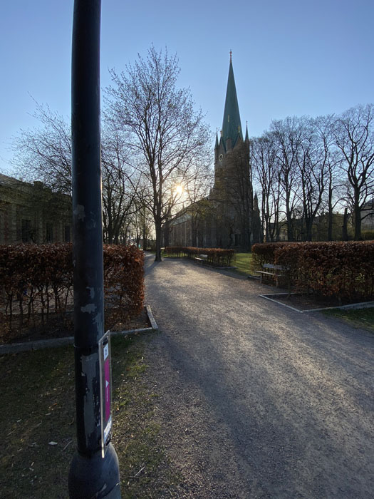Veckans bild v 17 2021