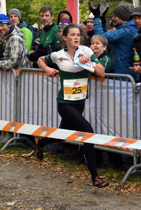 Veckans bild v 41 2023