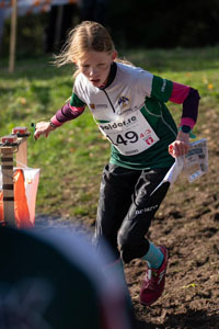 Veckans bild v 47 2023